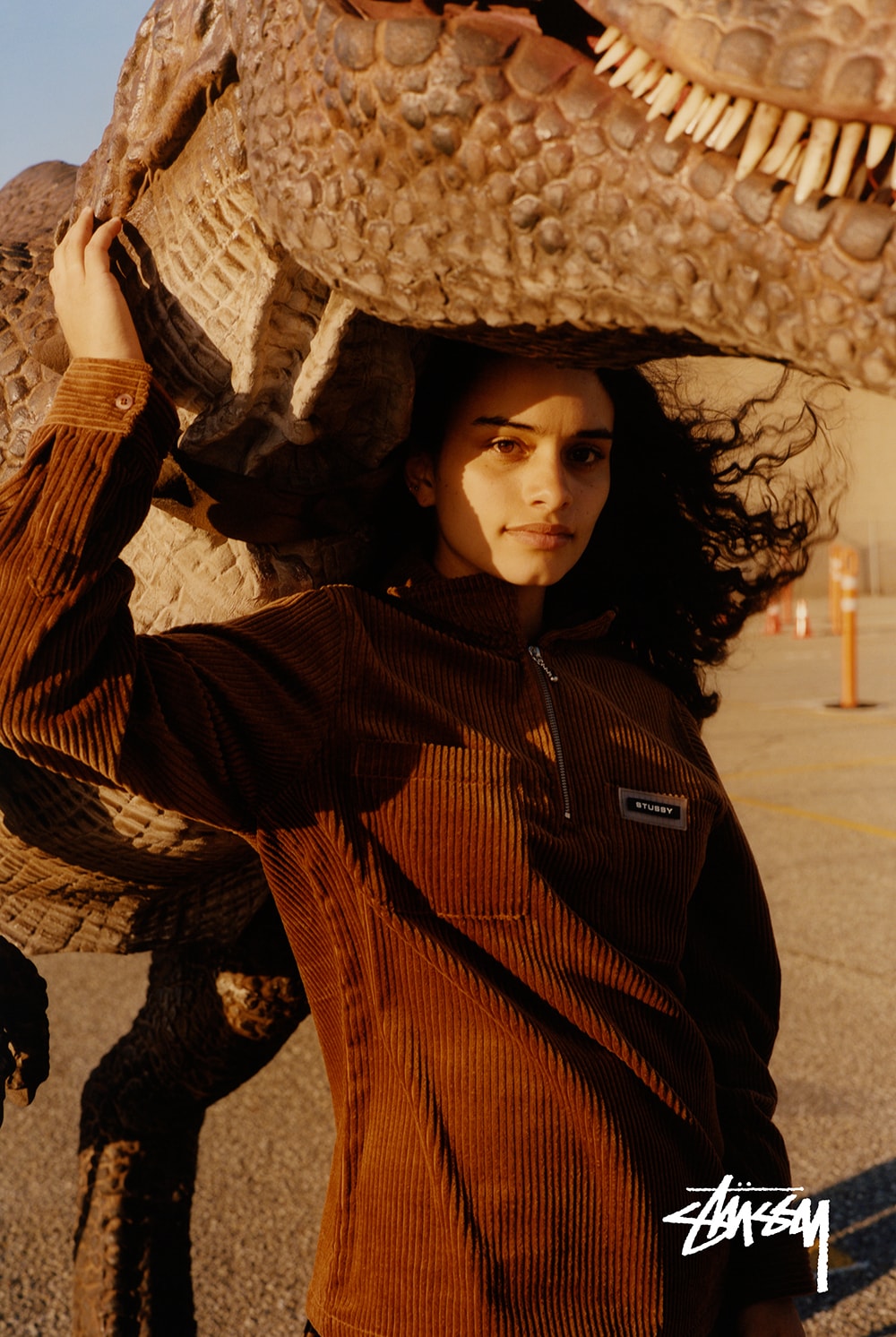 stussy campaign